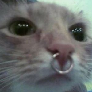 Meet your Posher, Aracely